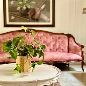 Boutique Fiorentina Hotel
